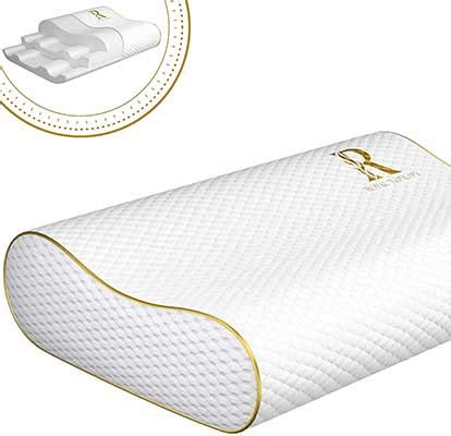 Top 10 Best Memory Foam Pillows In 2023 Reviews