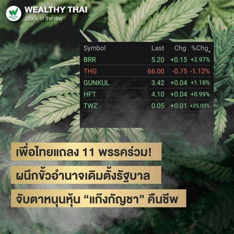 [wealthy Thai] เพื่อไทยแถลง 11 พรรคร่วม ผนึกขั้วอำนาจเดิมตั้งรัฐบาล จับตาหนุนหุ้น “แก๊งกัญชา