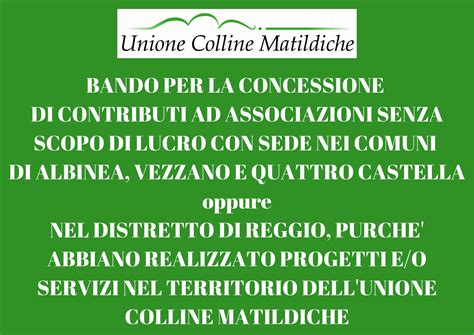 Bando Per La Concessione Di Contributi Ad Associazioni Senza Scopo Di