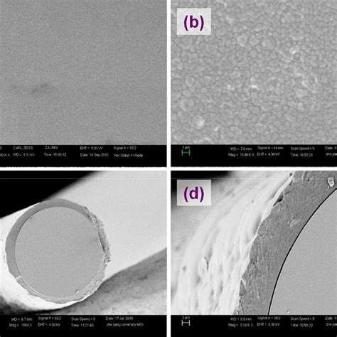 Scanning Electron Microscopy Images Of A Naked Fiber And B D The