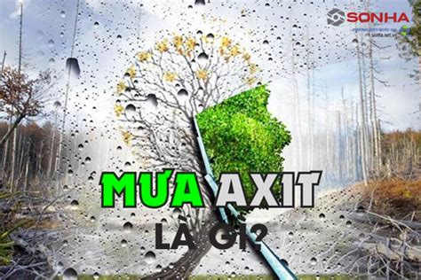 Mưa axit là gì? Nguyên nhân, tác hại, lợi ích, giải pháp?