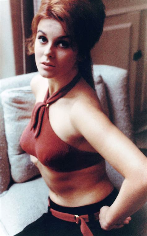 Ann Margret Vintage Photos Of A 1960s Timeless Beauty Icon Rare