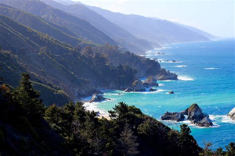 20 000 Free Une Mésange Sur Des Fleurs Big Sur Images Pixabay