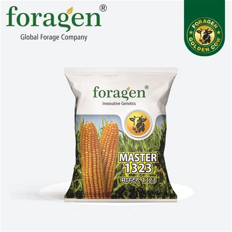 MASTER 1323 - Buy Forage Seeds Online India | Sorghums Legumes Millets Maize Grasses Perennial-Crops