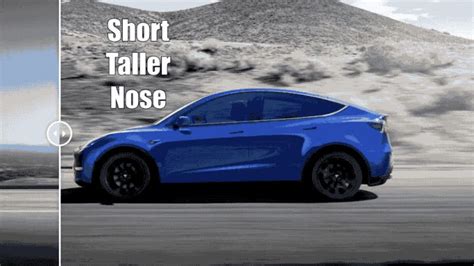 Visual Comparison Tesla Model Y Vs Tesla Model Top Speed