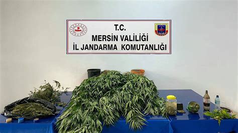 Mersin De Dev Uyu Turucu Operasyonu Kilo Gram Esrar Ile K K