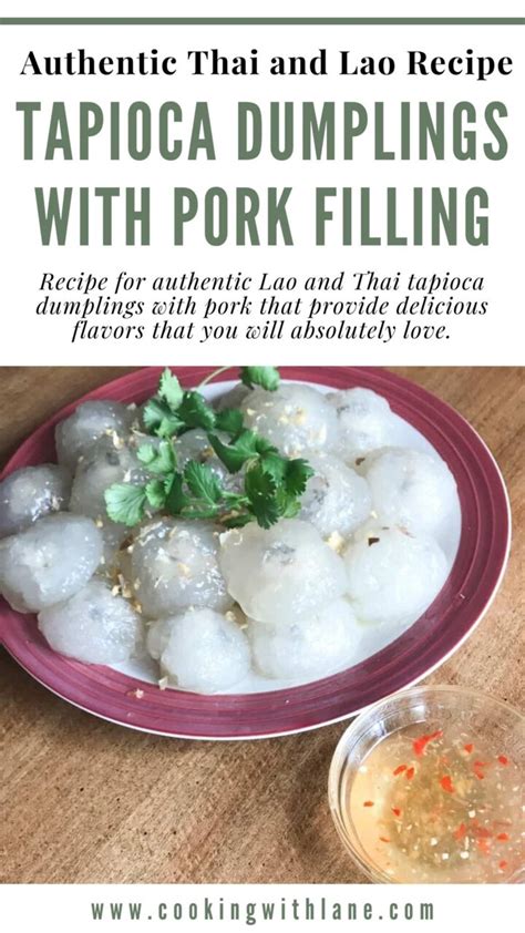 Authentic Tapioca Dumplings With Pork Thai And Lao Recipe