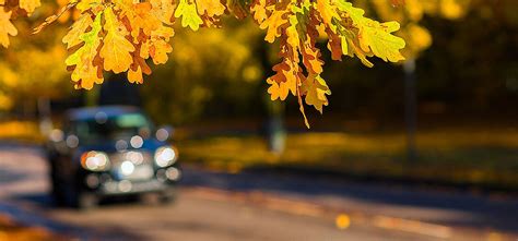 Autofahren Im Herbst So Machen Sie Es Richtig Fahrtraining De