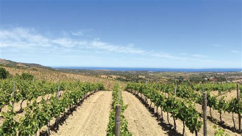 Ippolito Il Vino Di Calabria Tra Le Migliori Cantine D Italia