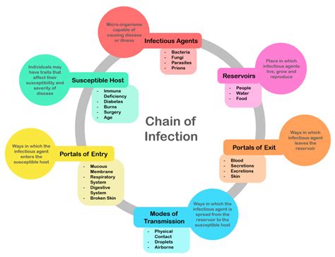 Chain Of Infection Explained Step By Step