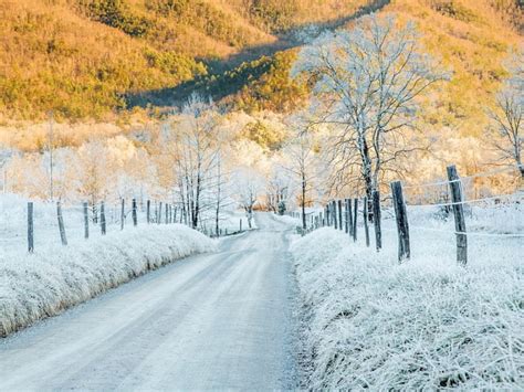 Cades Cove Nature White Trees Snow Hd Wallpaper Peakpx