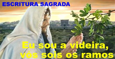 ESCRITURAS SAGRADAS ESTUDO Eu sou a videira vós sois os ramos