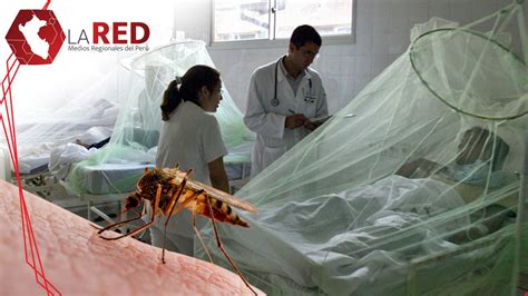 Epidemia De Dengue En El Perú Red De Medios Regionales Del Perú