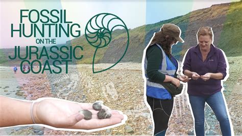 Fossil Hunting On The Jurassic Coast Youtube