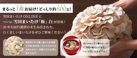 雪国まいたけ「極」・白 雪国まいたけonline│健康食品「まいたけのふしぎ」公式通販