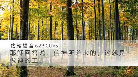 约 翰 福 音 629 Cuvs Desktop Wallpaper 耶 稣 回 答 说 ： 信 神 所 差 来 的