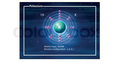 A potassium atom diagram | Stock vector | Colourbox