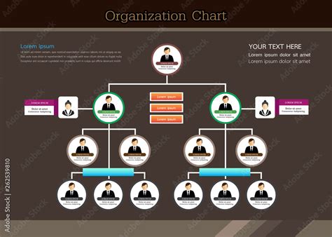 organization chart template Stock Vector | Adobe Stock