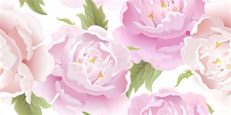 Watercolor Vector Hand Painting Seamless Pattern Of Peony Flowers And