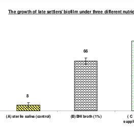 The development of biofilm consisting of late settlers (Strep. mutans ...