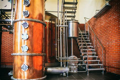 Top 10 vegan breweries in Europe 2025