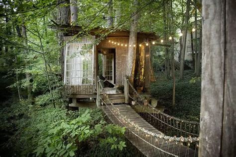 Photo 6 of 7 in 7 Breathtaking Tree Houses You Can Actually Rent on ...