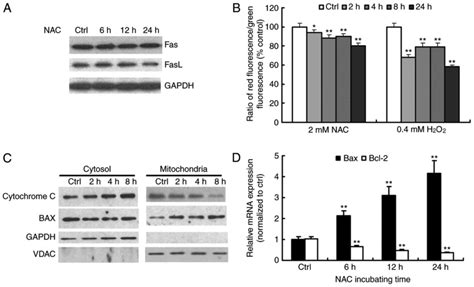 Nac N Acetyl Cysteine Nac Dr Jolene Brighten It Boosts Glutathione