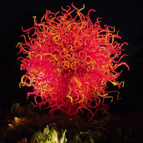 Chihuly Night at Missouri Botanical Garden – August 20 – St. Louis Ski Club