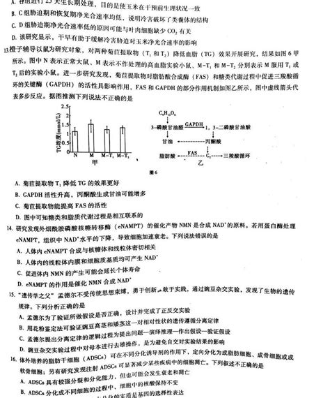 重庆市巴蜀中学校2022 2023学年高三上学期适应性月考卷（二）生物试题及答案 教习网试卷下载