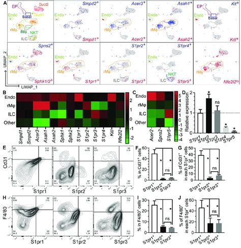 Expression Patterns Of S1P Metabolic Genes And Receptors In Salivary