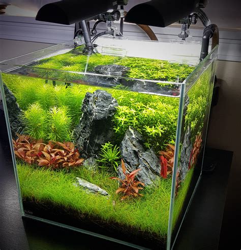 Mr Aqua Nano Aquarium Rplantedtank