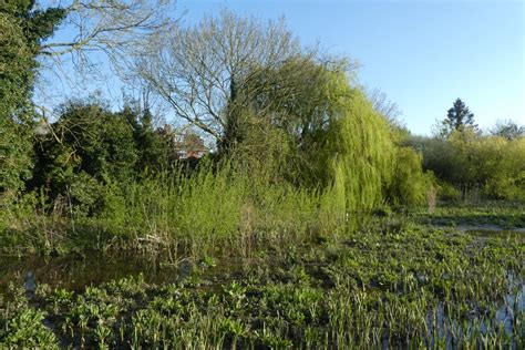 Beck In Hull Road Park Ds Pugh Cc By Sa Geograph Britain And