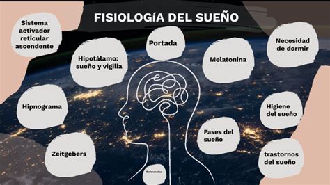 Fisiolog A Del Sue O By Stefany I On Prezi