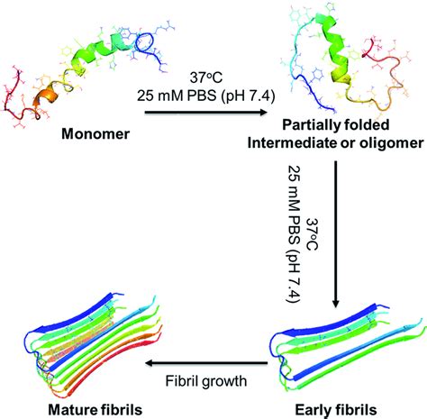 A Schematic Overview In Vitro Study Of A Fibrillation Which Includes