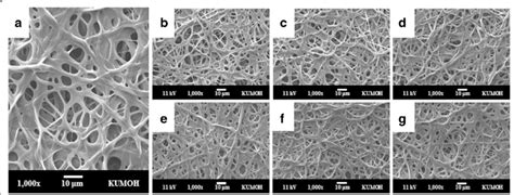 Sem Images Of The Crosslinked Gelatin Fibrous Sheet A And