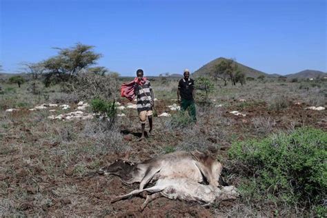 In Beeld Door Extreme Droogte In De Hoorn Van Afrika Lijden 13 Miljoen