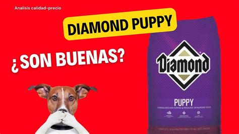 Analisis De Croquetas Diamond Puppy Youtube