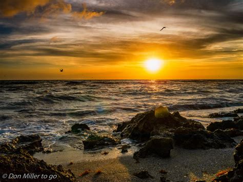 Hintergrundbilder Sonnenlicht V Gel Sonnenuntergang Meer Rock