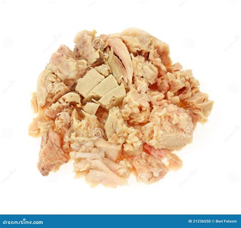 Albacore Tuna Stock Image | CartoonDealer.com #1724101