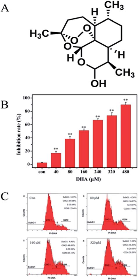 Dha Inhibits Cell Viability And Cell Cycle In Cultured Human Jf