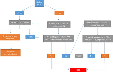 Diagnosis of Hepatocellular Carcinoma | IntechOpen