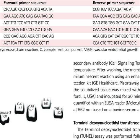 Gene Sequence Of Primer Of Reverse Transcription Polymerase Chain