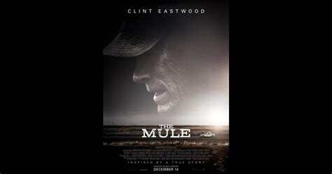 La Mule 2018 Un Film De Clint Eastwood Premiere Fr News Date De