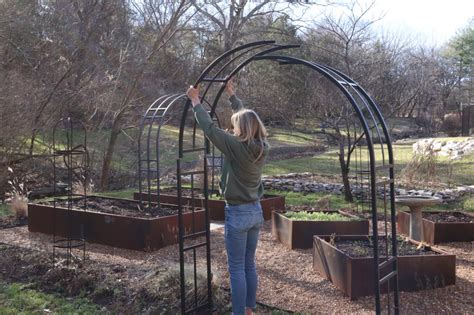 Gardenary S Nicole Arch Trellis In Raised Garden Beds Gardenary