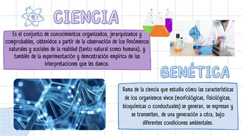 Solution Conceptos Ba Sicos De Gene Tica Biolog A Contemporanea