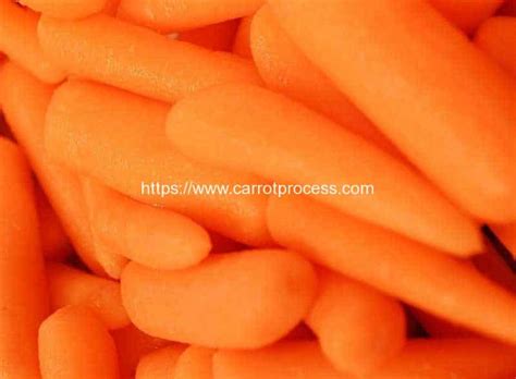 How Baby Carrot Invented | Carrot Processing Machine Manufacture and ...