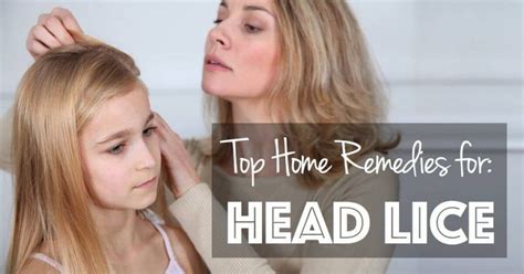 Top Home Remedies For Head Lice