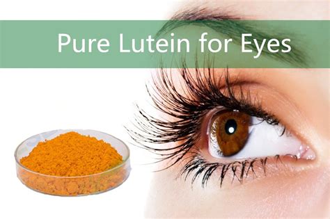 Pure Lutein for Eyes - Industry Knowledge - Knowledge