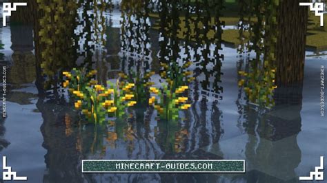 Farmer S Delight Finding And Growing Rice Minecraft Guides Wiki