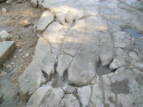 Denio Branch Dinosaur Valley State Ark Photos By Glen Kuban